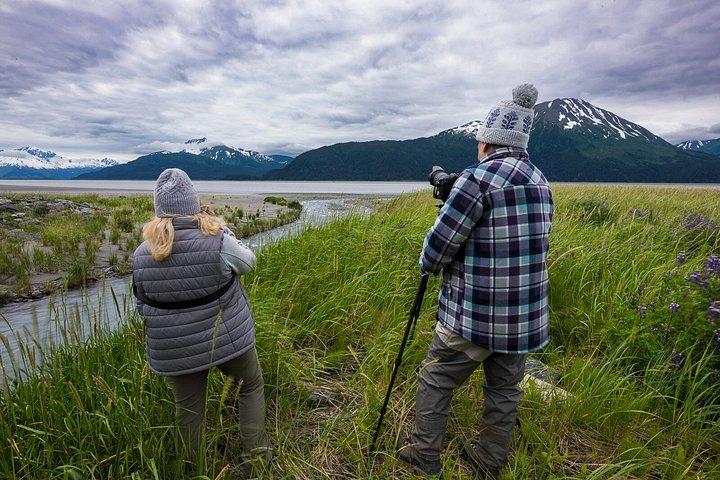 Turnagain Arm Highlights Photo Tour