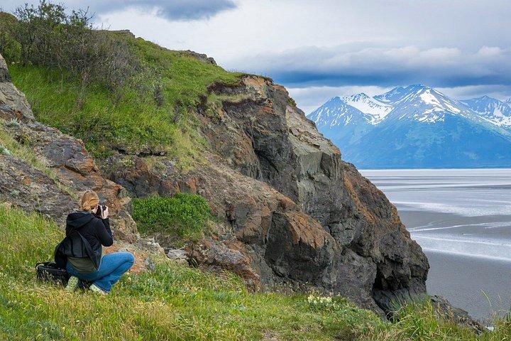 Turnagain Arm Highlights Photo Tour