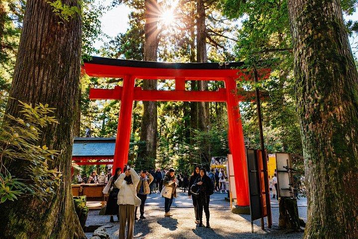 横浜港からのプライベート箱根海岸小旅行
