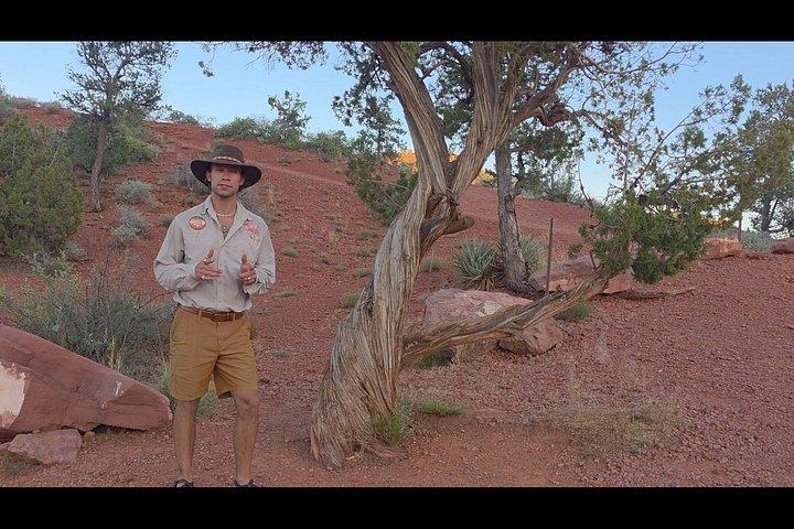 セドナ・ボルテックス・オデッセイ - スピリチュアル＆サイエンス・アドベンチャー
