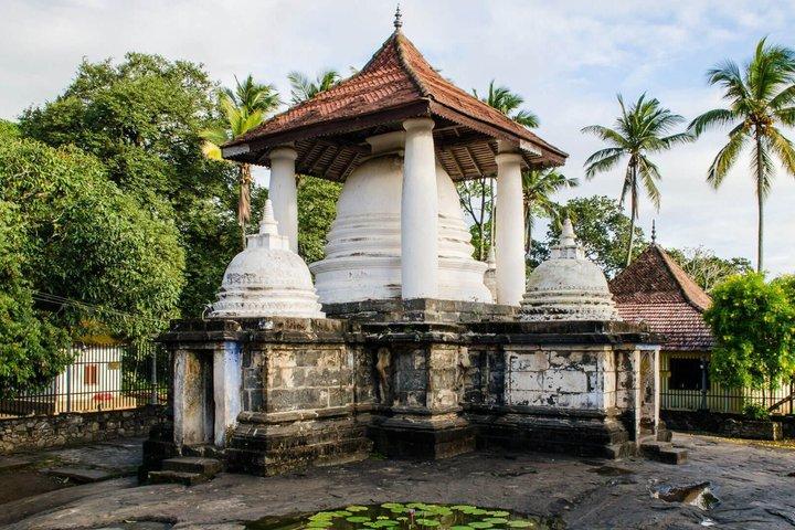 Visita a los tres templos y visita privada a Kandy City