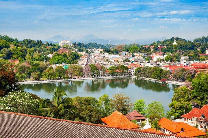 Visita a los tres templos y visita privada a Kandy City