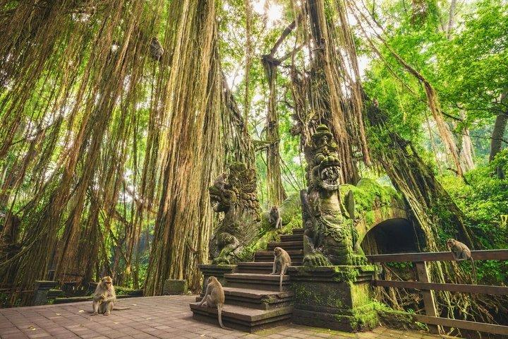 Descubra o melhor de Ubud: Excursão totalmente inclusiva e guiada privada