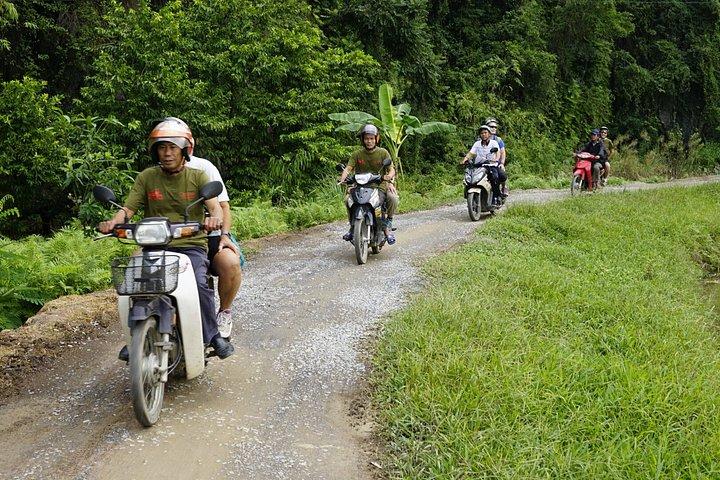 ハノイ発ニンビン隠れ宝石バイクツアー