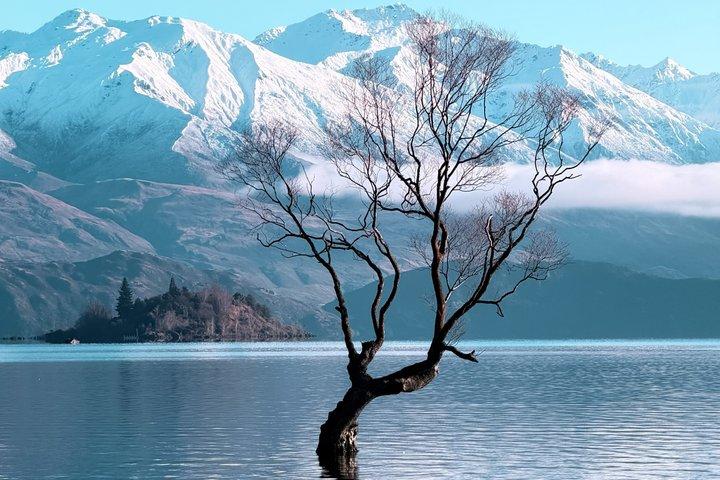 Wanaka Private Tour from Queenstown Scenic Drive and Lakeside