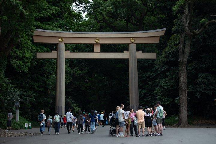 Harajuku Meiji Shrine Walking Tour in Tokyo