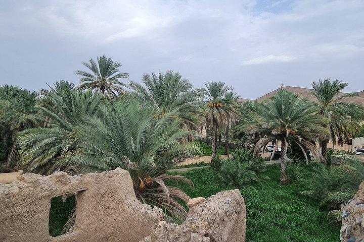 ニズワ要塞スークとジェベル・アフダル共有ツアー