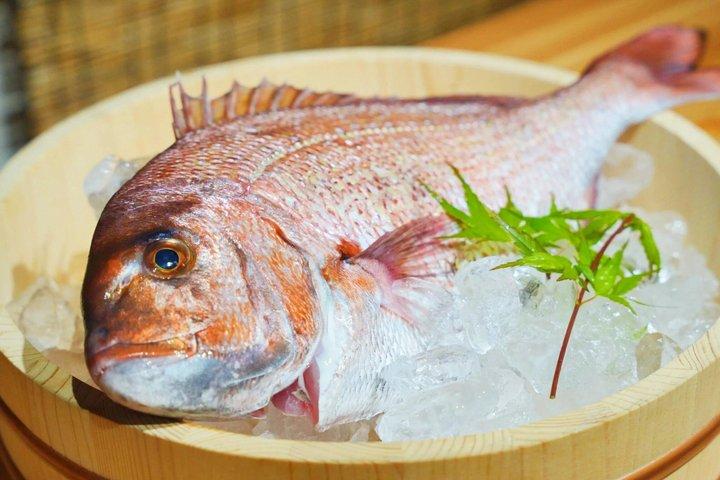 東京築地魚市場めぐり プロが教える寿司作り教室