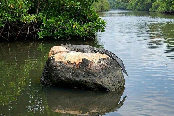 Privéboottocht op de Bentota-rivier