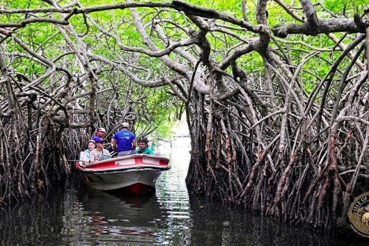 Privéboottocht op de Bentota-rivier
