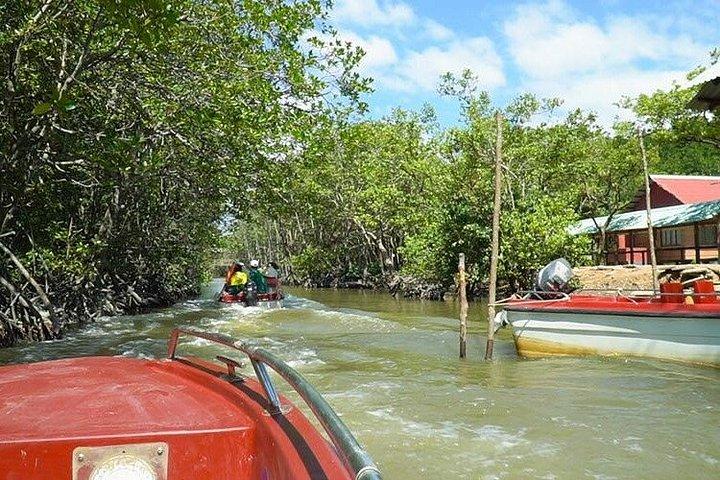 プライベートキャンジオ生物圏保護区とヴァムサットマングローブツアー