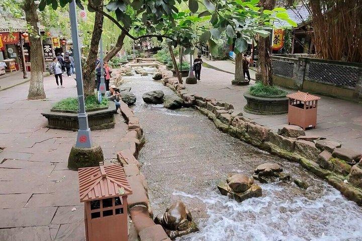 楽山仏と黄龍渓水上街観光（ランチ付き）