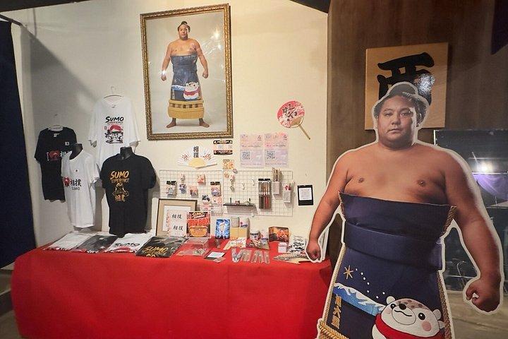 東京銀座相撲、グルメ、そして東京市内散策