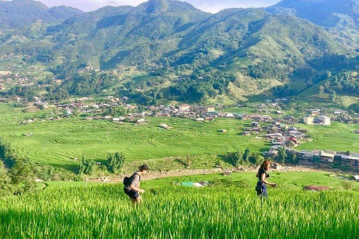 Sapa Trekking : Explorez les rizières en terrasses majestueuses et les villages ethniques