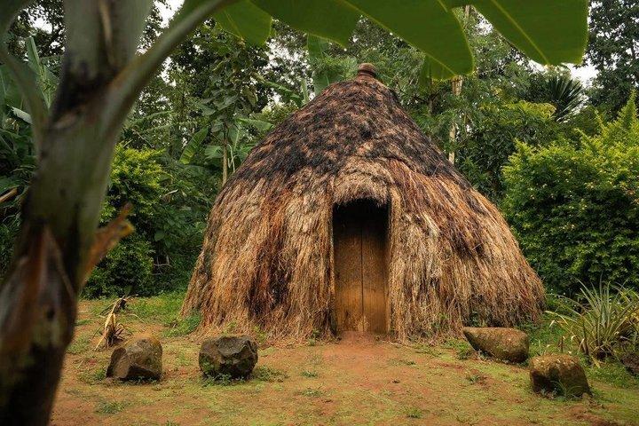 Materuni Waterfall, Coffee & Chagga Culture Tour from Moshi