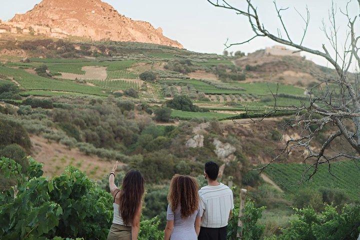 South Crete Tour with Matala Beach Caves and Winery Visit