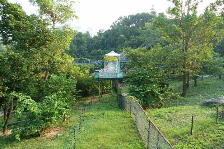 深セン野生動物サファリパークチケット