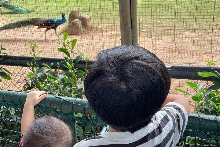 深セン野生動物サファリパークチケット