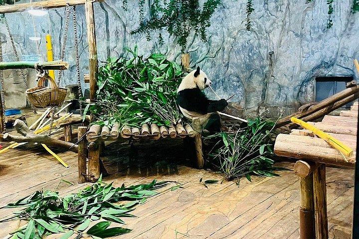 深セン野生動物サファリパークチケット