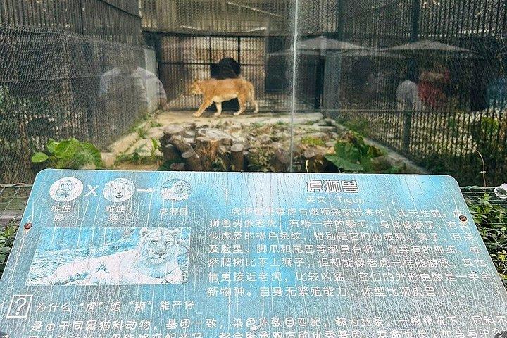 深セン野生動物サファリパークチケット