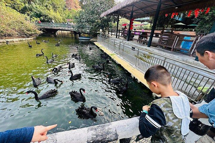 深セン野生動物サファリパークチケット