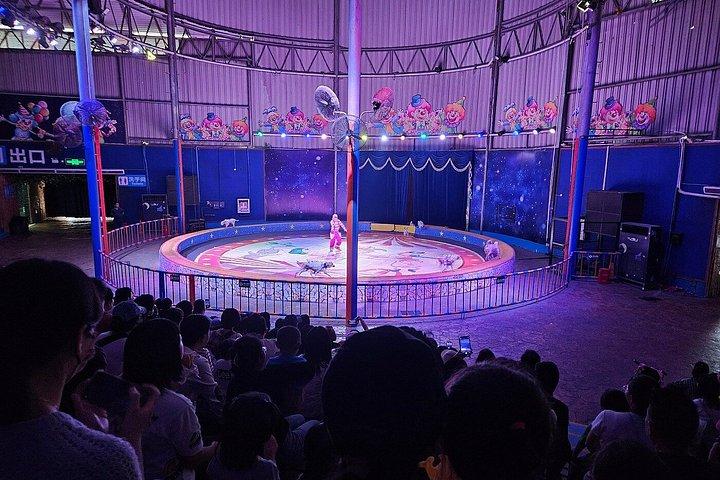 深セン野生動物サファリパークチケット