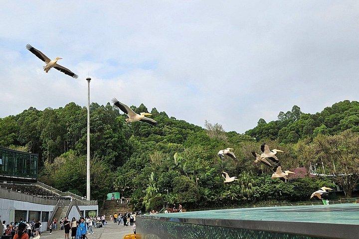深セン野生動物サファリパークチケット