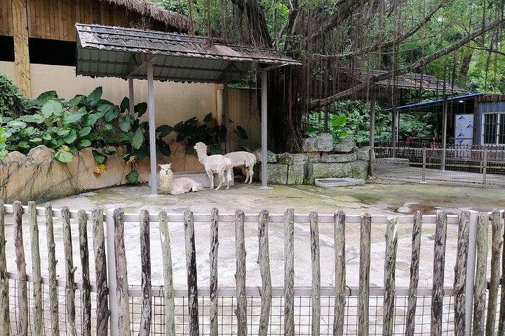 深セン野生動物サファリパークチケット