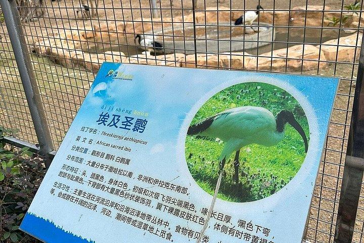 深セン野生動物サファリパークチケット