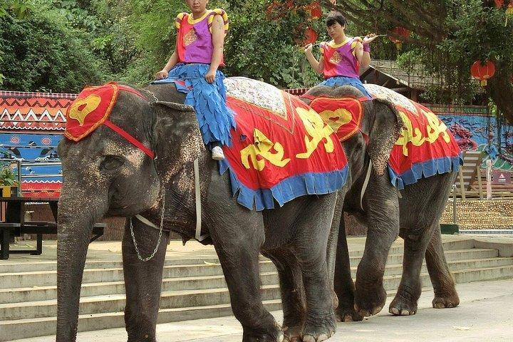 深セン野生動物サファリパークチケット