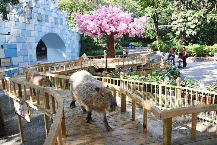 深セン野生動物サファリパークチケット