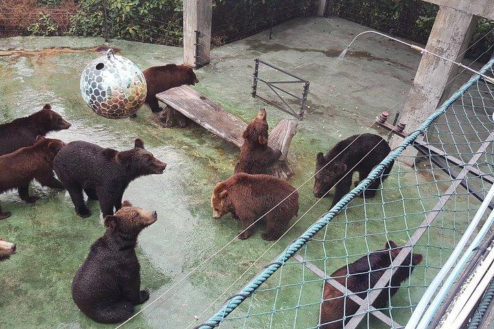 深セン野生動物サファリパークチケット