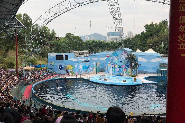 深セン野生動物サファリパークチケット