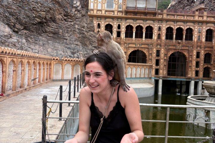 Jaipur city tour ( monkey temple, city palace,Jantar Mantar )