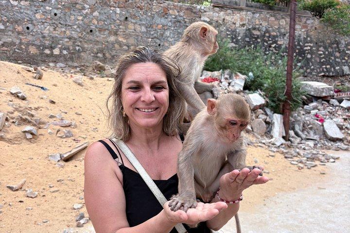 Jaipur Private half day tour: monkey temple, city palace