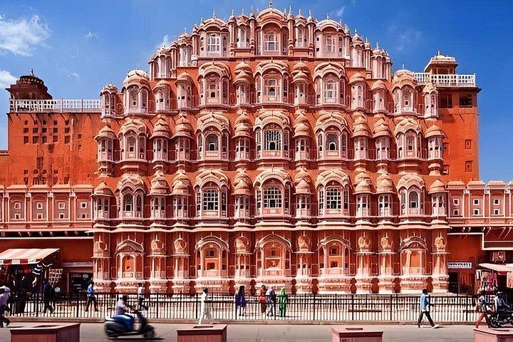 Jaipur Private half day tour: monkey temple, city palace