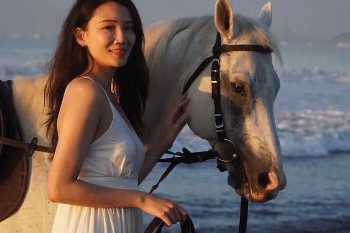 バリ乗馬トロットまたはキャンターサヌールビーチ送迎付き