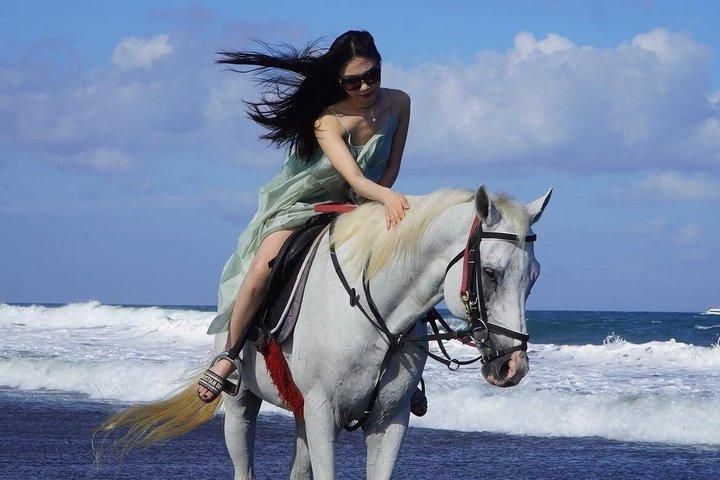 バリ乗馬トロットまたはキャンターサヌールビーチ送迎付き