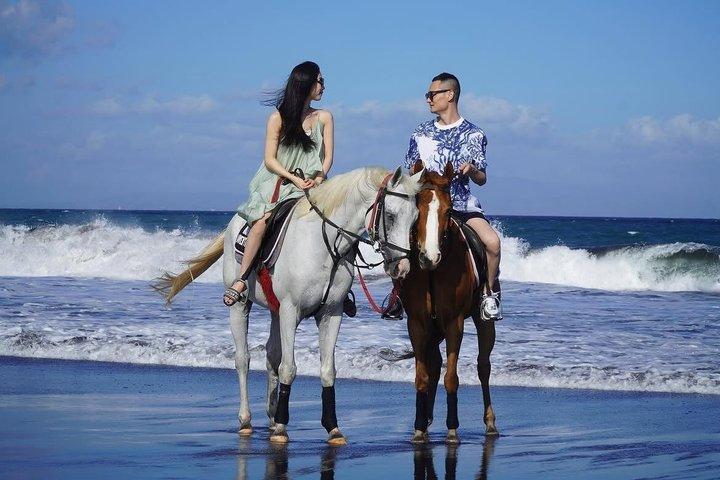 Bali Horse Riding Trot o Canter Sanur Beach includono il trasporto