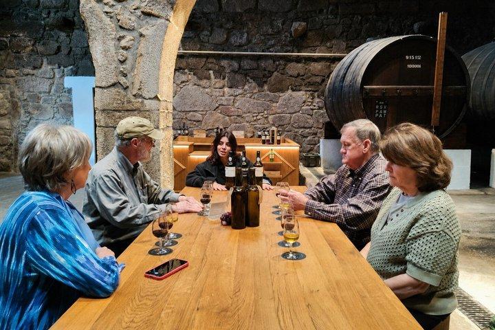 Visite à pied de Porto avec visite de cave à vin et croisière sur 6 ponts