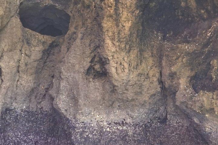 ラゴスからアルガルヴェ海岸と断崖絶壁を巡るプライベートツアー