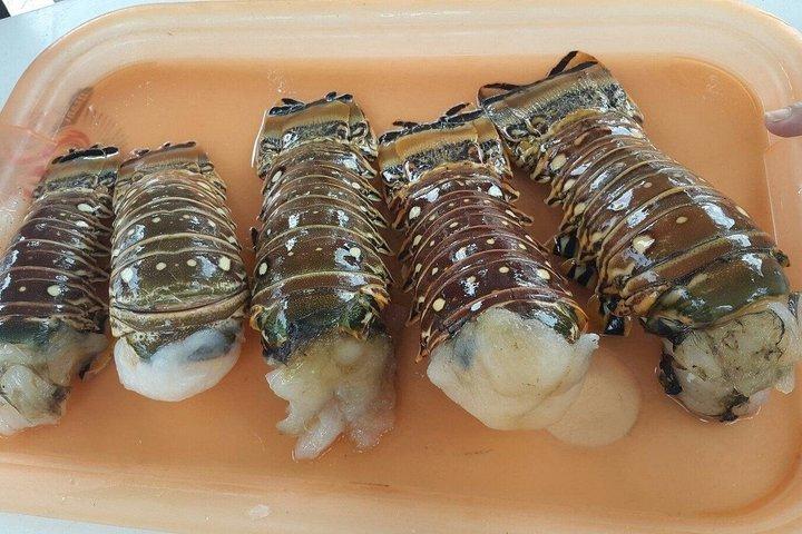 コスタマヤキャプテンモノビーチクラブデイパスと港ピックアップ