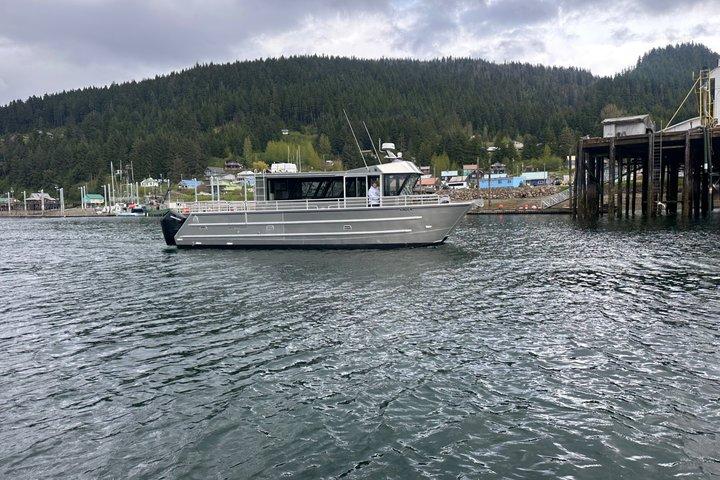 Hoonah Whale Tours in Icy Strait