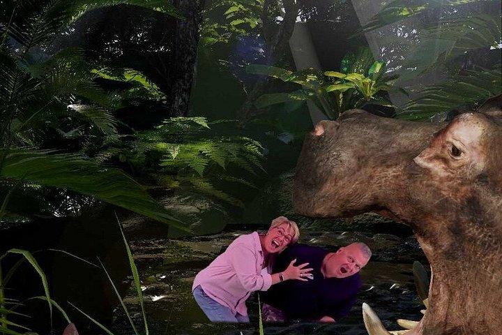 ホログラム動物園バンクーバーでの水中体験