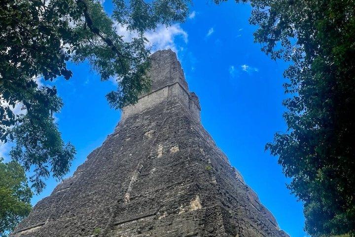 Tagesausflug Tikal mit lokalem Mittagessen ab San Ignacio