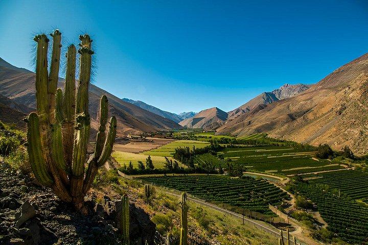 Private Tour Flavors Wines and Mysteries of the Elqui Valley