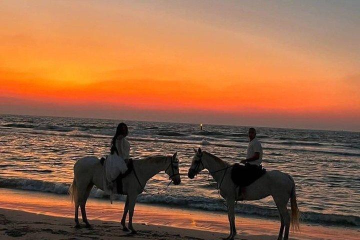 Billeder af Bali Horse Riding + Drone