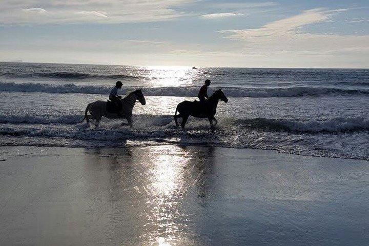 Billeder af Bali Horse Riding + Drone