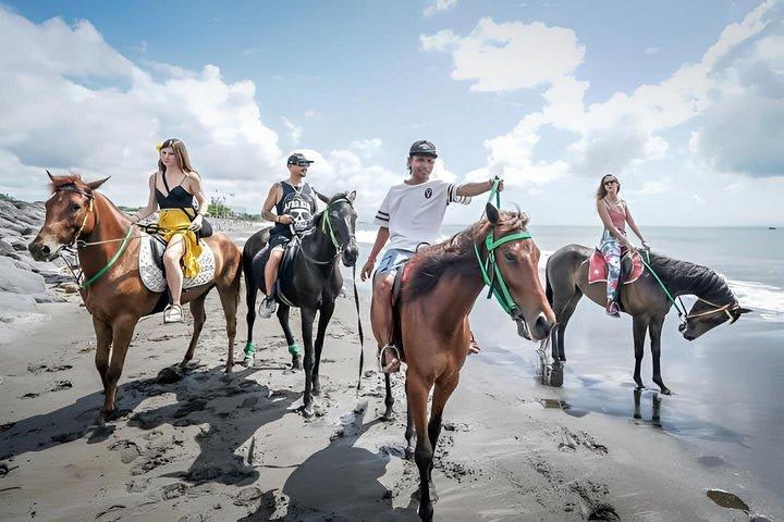 Billeder af Bali Horse Riding + Drone