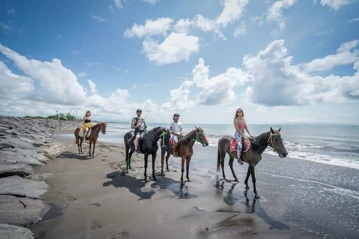 Billeder af Bali Horse Riding + Drone